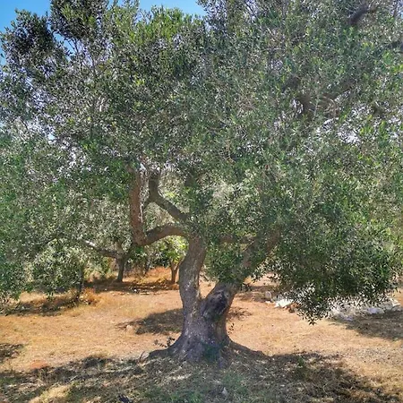 La Cabane Sea View Holiday * Ostuni