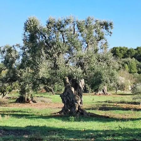 La Cabane Sea View Holiday Holiday home Ostuni