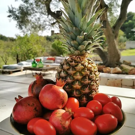 La Cabane Sea View Holiday Holiday home Ostuni